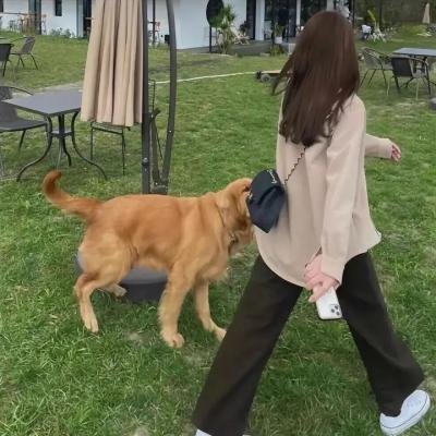 冰冷的灵魂